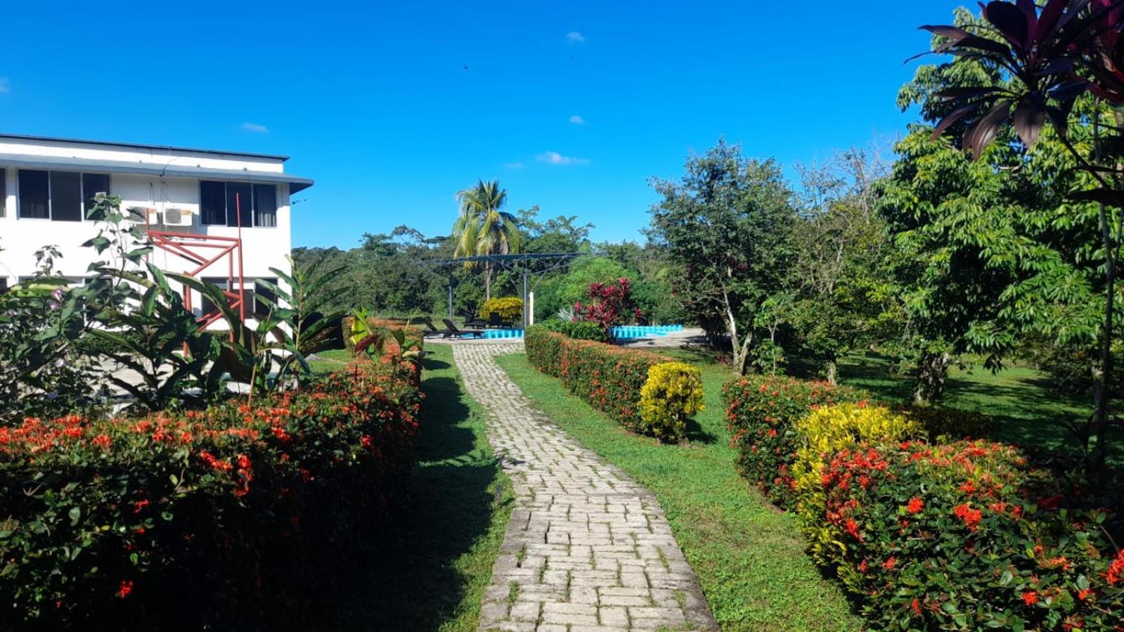 Hotel Los Leones ปาเลงเก ภายนอก รูปภาพ